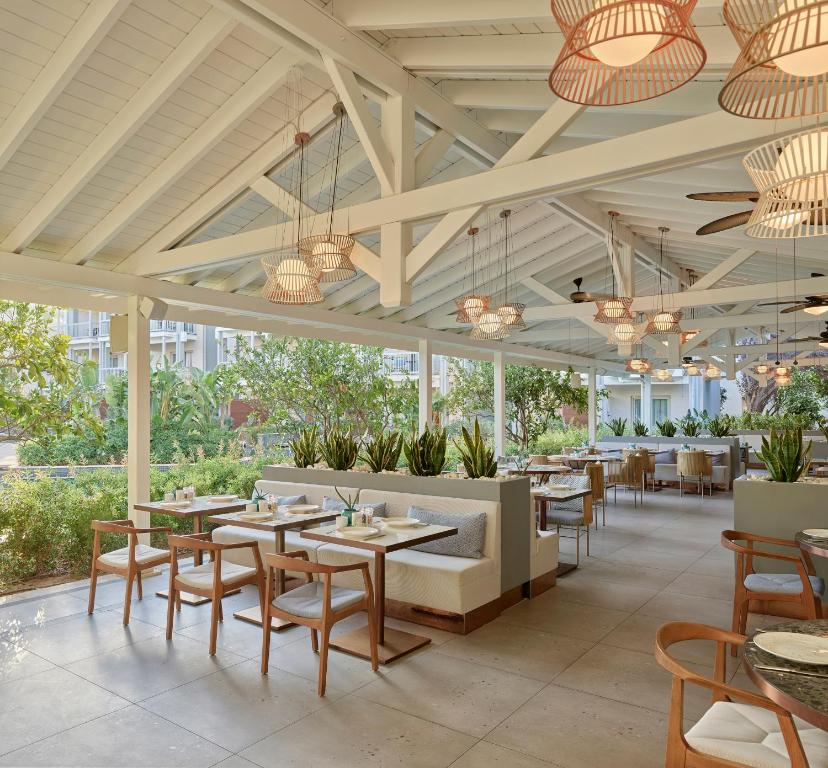 Lara Barut Collection