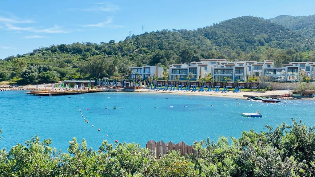 The Norm Collection Door'a